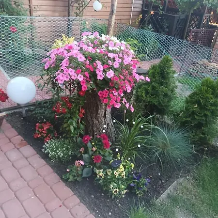 Od Strony Ulicy Kajki, Mikolajki (Mragowo)